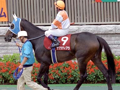 2003/10/12 東京11R