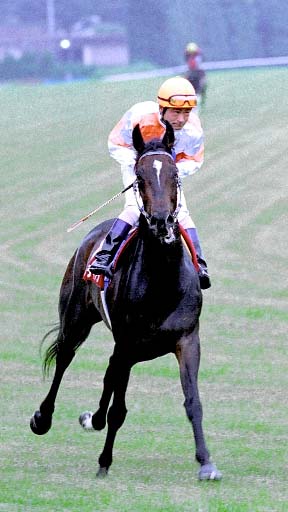 2003/10/12 東京11R