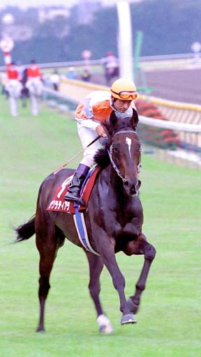 2003/10/12 東京11R