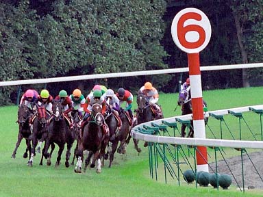 2003/10/12 東京11R