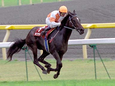 2003/10/12 東京11R