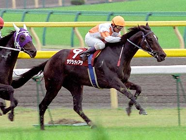 2003/10/12 東京11R