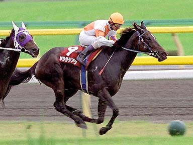 2003/10/12 東京11R