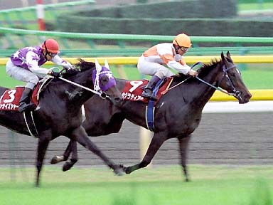 2003/10/12 東京11R