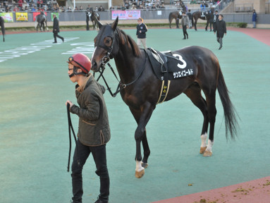 2016/12/18 中京12R