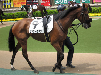 2010/05/15 東京07R