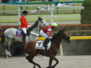 2010/05/15 東京07R