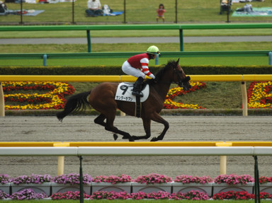 2010/05/15 東京07R