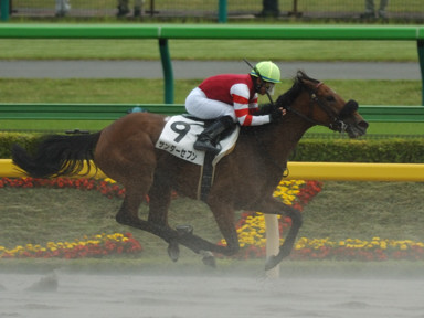 2010/05/15 東京07R
