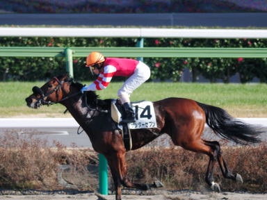 2011/01/09 中山08R