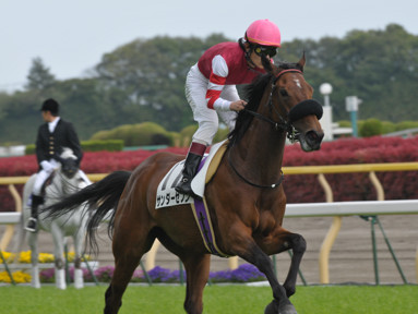 2011/05/11 東京08R