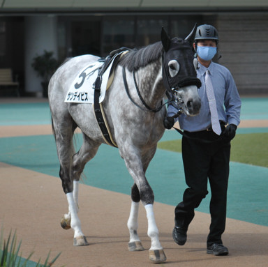 2022/10/16 東京07R