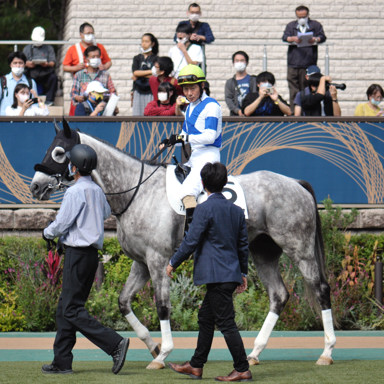 2022/10/16 東京07R