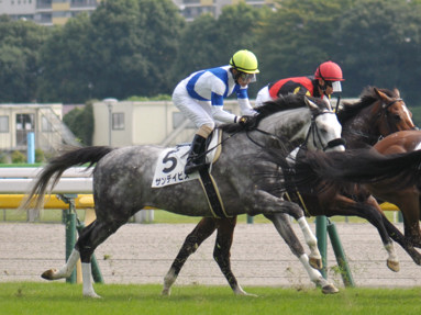 2022/10/16 東京07R