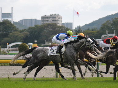 2022/10/16 東京07R