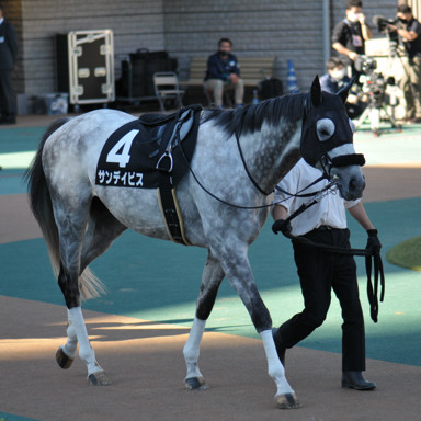 2022/11/27 東京09R