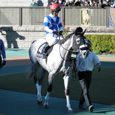 2022/11/27 東京09R
