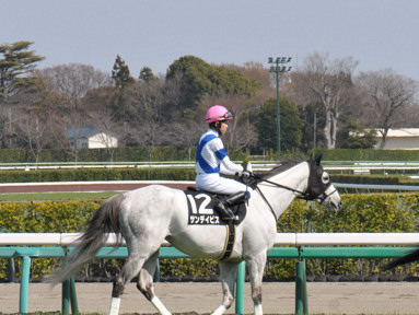 2024/03/16 中山08R