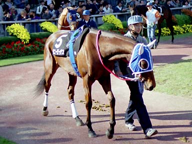 2001/11/11 東京09R