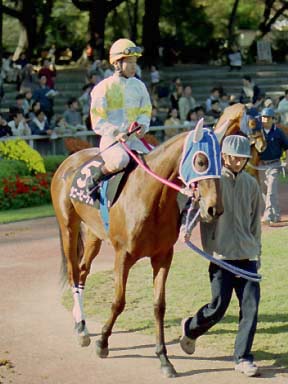 2001/11/11 東京09R