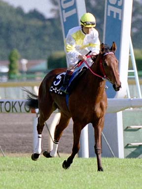 2001/11/11 東京09R
