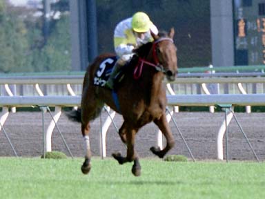 2001/11/11 東京09R