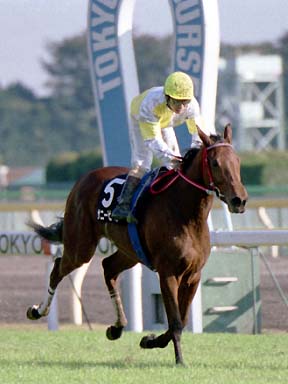 2001/11/11 東京09R