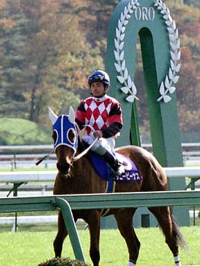 2002/11/04 盛岡07R