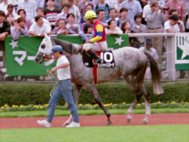 1997/10/05 東京10R