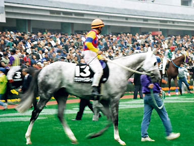 1997/11/22 東京09R
