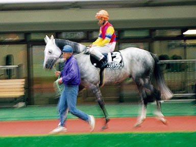 1997/11/22 東京09R