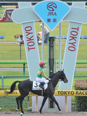 2018/10/14 東京05R