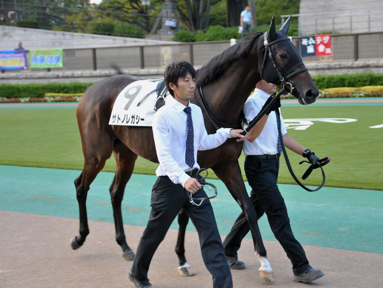 2013/10/12 東京12R
