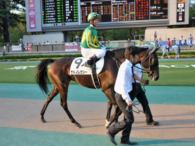 2013/10/12 東京12R