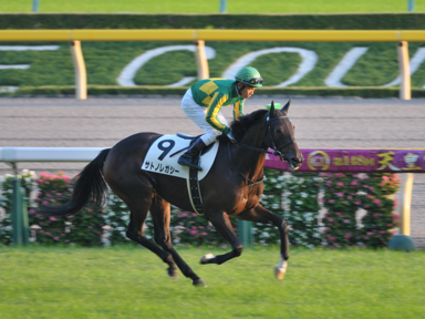 2013/10/12 東京12R