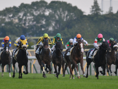 2013/10/12 東京12R