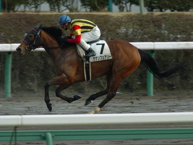 2005/03/05 R08R