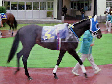 1992/06/21 盛岡09R