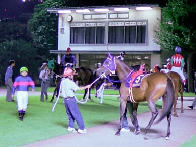 2001/09/17 川崎09R