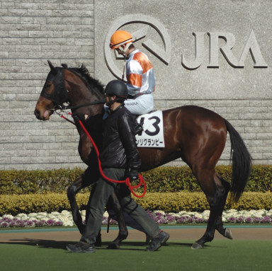 2009/02/01 東京06R