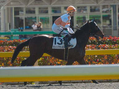 2009/02/01 東京06R