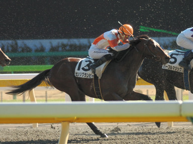 2009/02/01 東京06R
