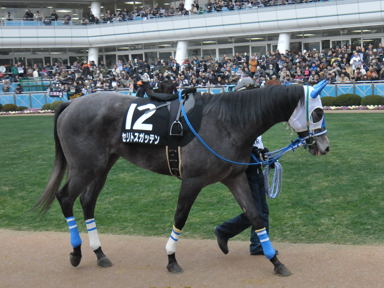 2011/01/15 R09R