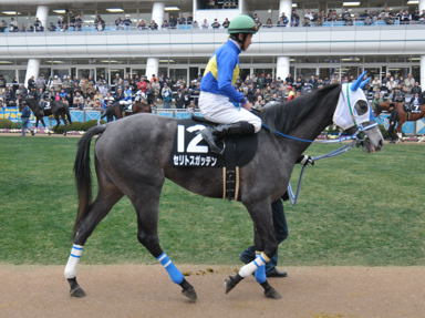 2011/01/15 R09R