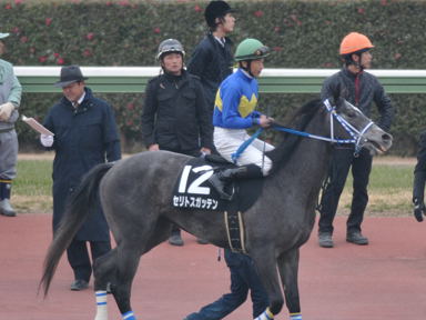 2011/01/15 R09R