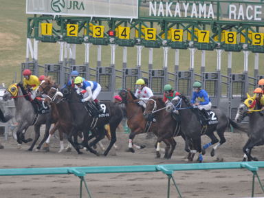 2011/01/15 R09R