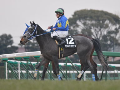 2011/01/15 R09R