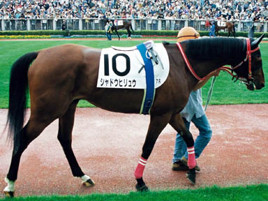 1999/04/25 東京07R