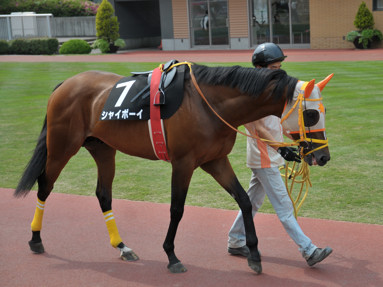 2014/05/25 新潟10R