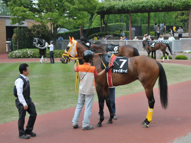 2014/05/25 新潟10R